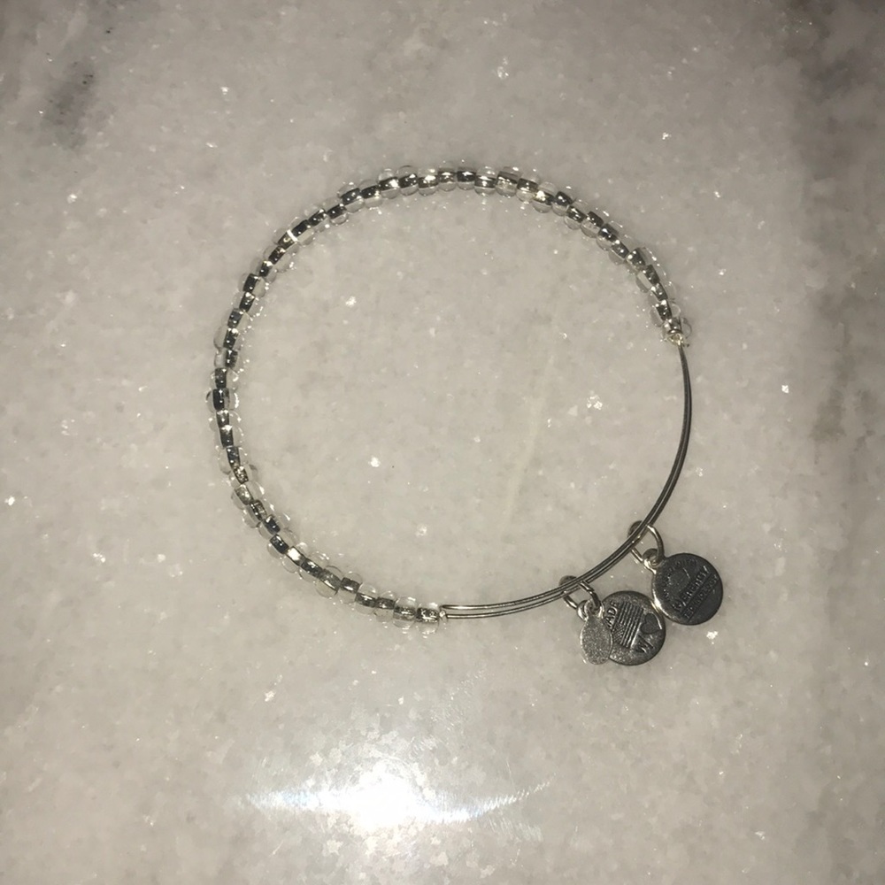 NWOT Alex and Ani Silver & Clear Bracelet